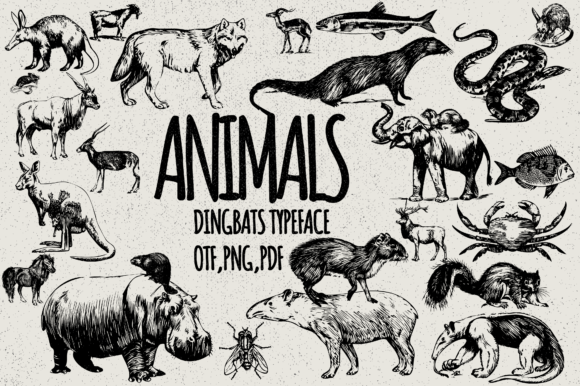 Animals Font