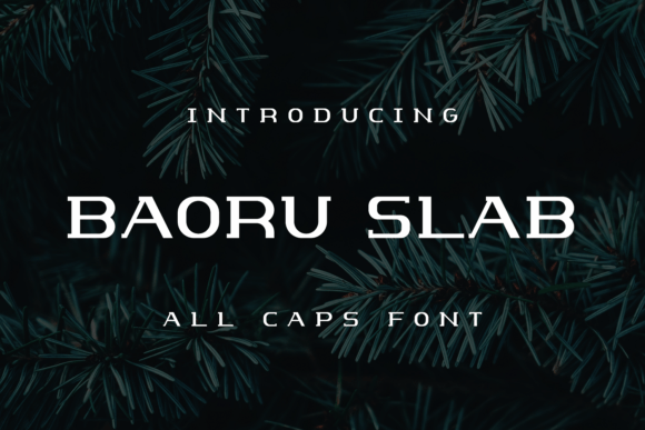 Baoru Slab Font