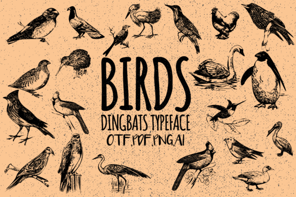 Birds Font