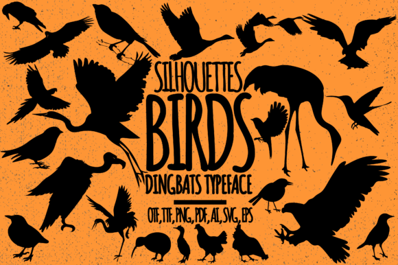 Birds Font