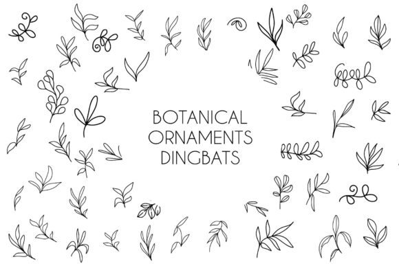 Botanical Ornaments Font