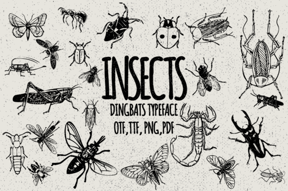 Insects Font