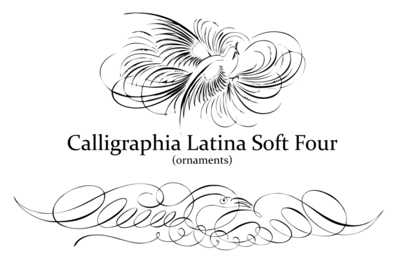 Calligraphia Latina Soft 4 Font