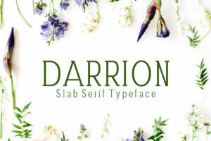 Darrion Font