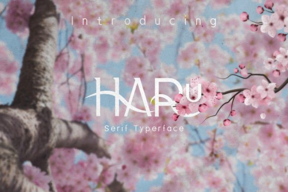Haru Font