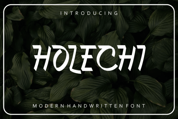 Holechi Font