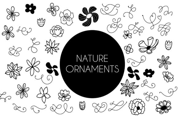 Nature Ornaments Font