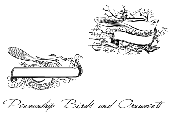 Penmanship Birds and Ornaments Font