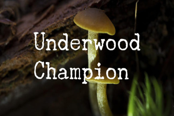 Underwood Champion Font