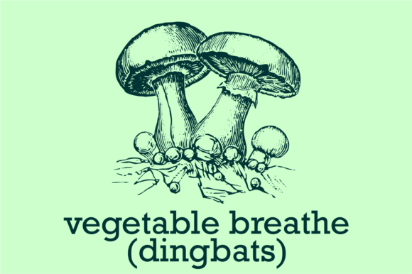 Vegetable Breathe Font