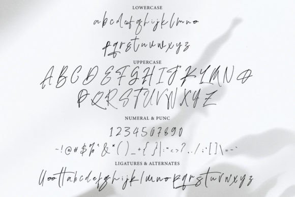 Adustine Signature Poster 7