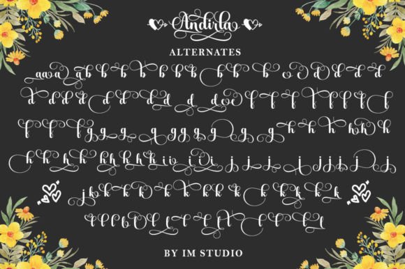 Andirla Poster 7