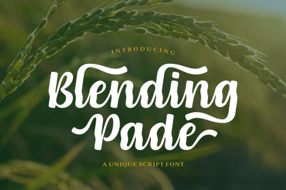 Blending Pade Poster 1