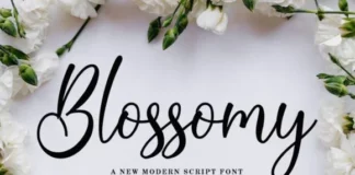 blossomy Poster 0