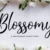Blossomy