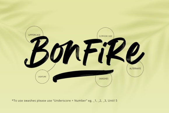 Bonfire Poster 2