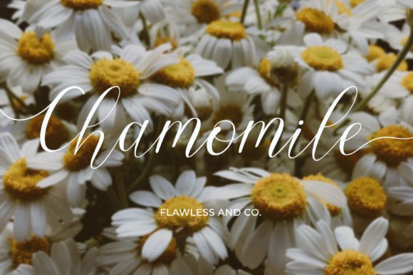 Chamomile Poster 1