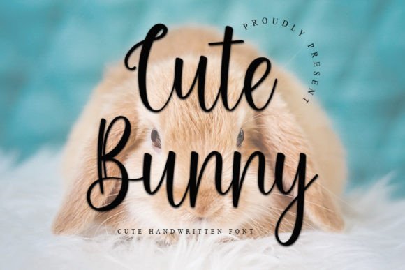 Cute Bunny Poster 1