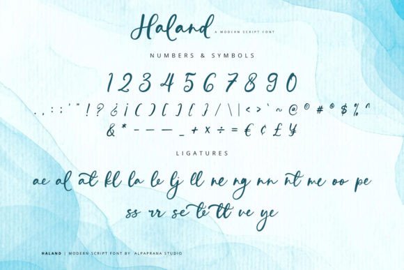 Haland Poster 13