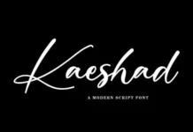 Kaeshad Poster 1