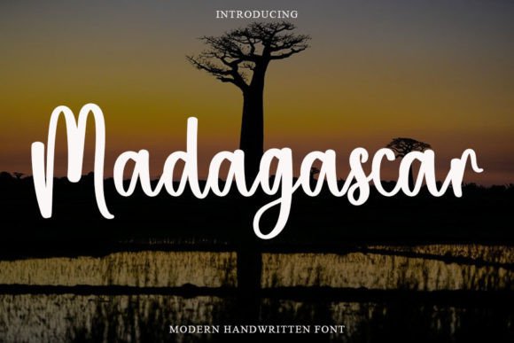 Madagascar Poster 1