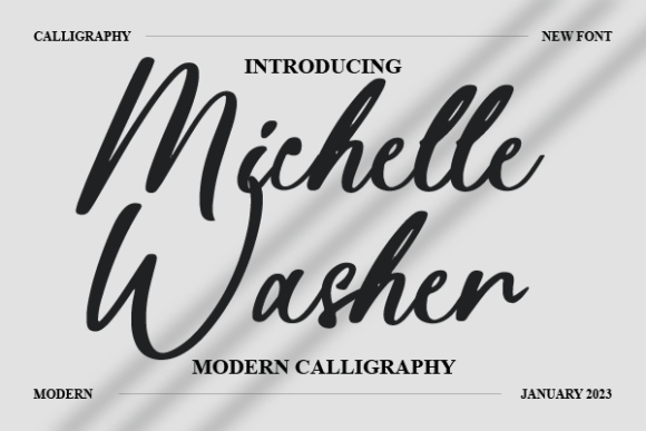 Michelle Washer Poster 1
