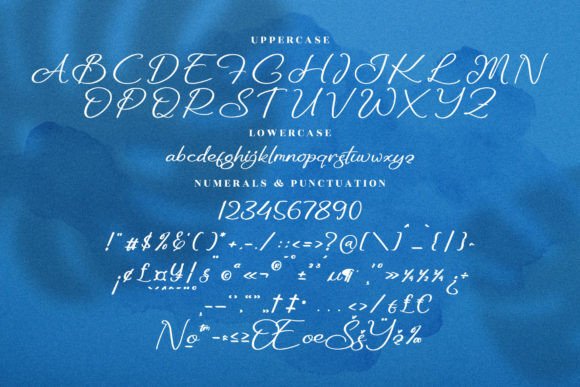 Mitchella Poster 13