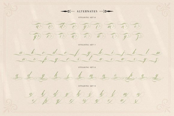 Mollani Poster 11