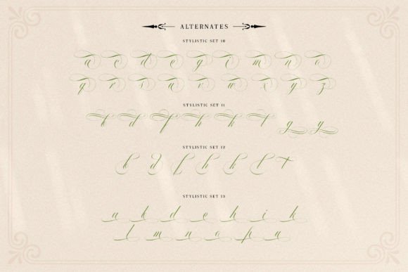 Mollani Poster 13