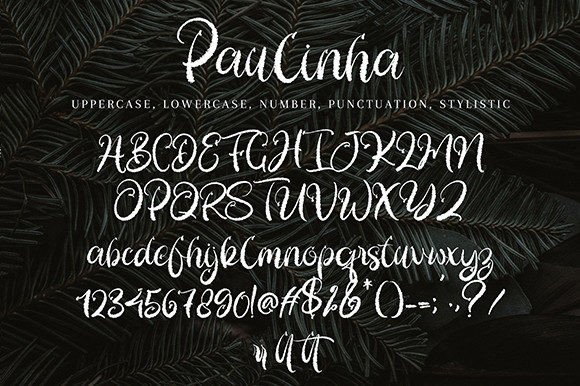 Paulinha Poster 8