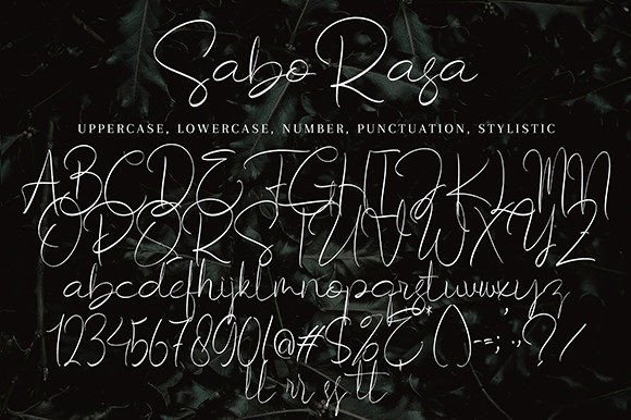 Saborasa Poster 10