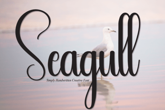 Seagull