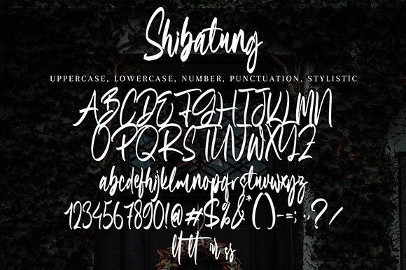 Shibatung Poster 8