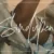 Sindupen Signature