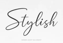Stylish Poster 1