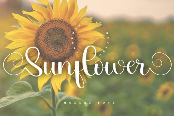 Sunflower Poster 1
