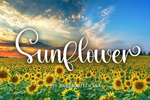 Sunflower Poster 1