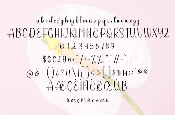 Weeded Poster 6