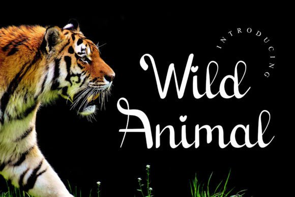 Wild Animal Poster 1
