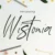 Wistonia