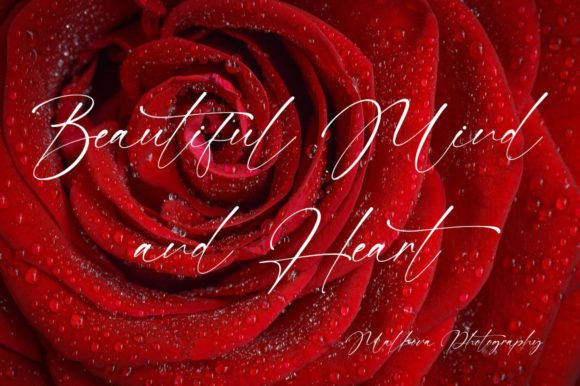 Abelia Malkova Font Poster 2