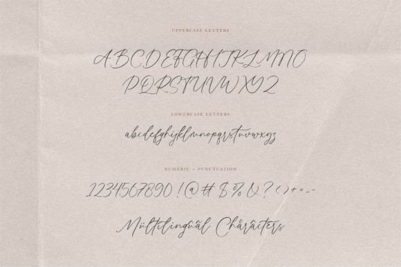 Adonitha Font Poster 7