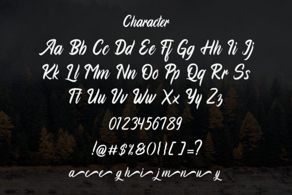 Agustiyan Font Poster 4
