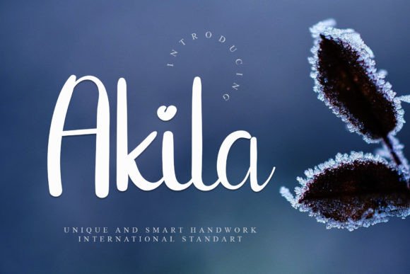 Akila Font Poster 1