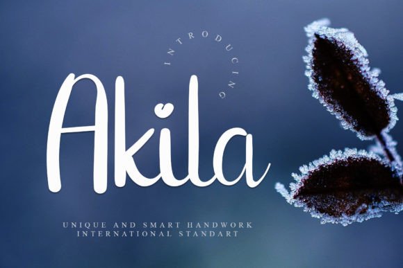 Akila Font