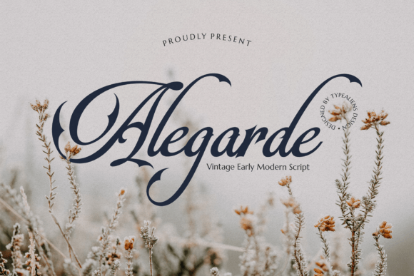 Alegarde Font Poster 1