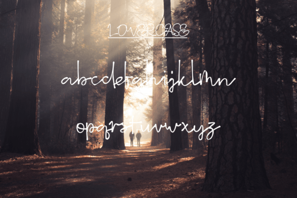 Alfarabhy Font Poster 5