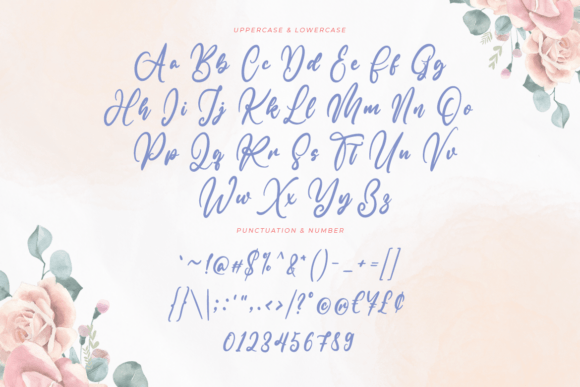 Alona Manhatan Font Poster 9