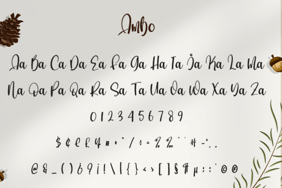 Ambo Font Poster 6