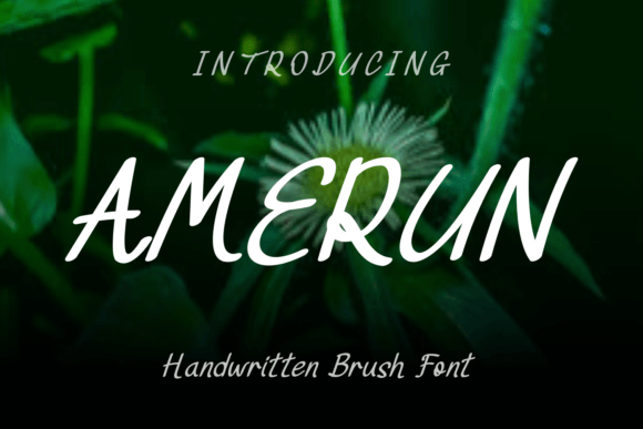 Amerun Font Poster 1